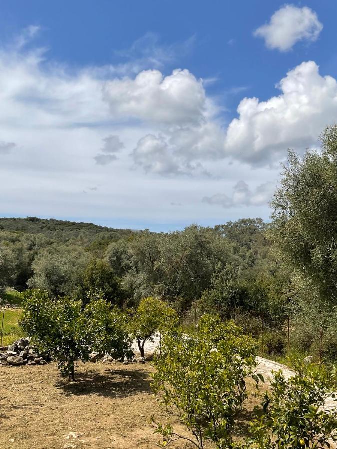 Vlastaras Apartment Σύβοτα Εξωτερικό φωτογραφία